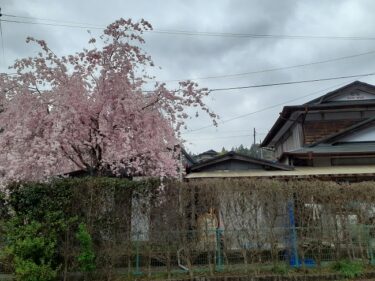 高知と徳島へ。春雨が降りしきる出張だった。