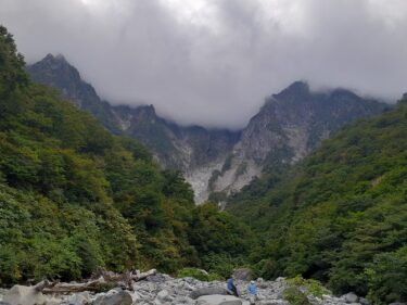 熊の夢、仲間外れにされている夢。