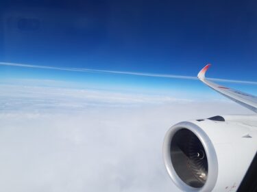 東京は朝から雨。出張で沖縄へ。