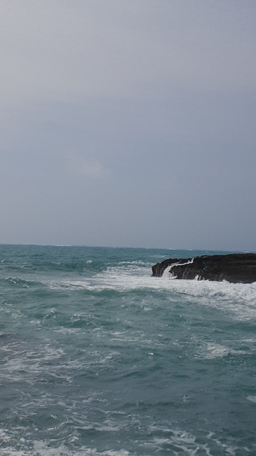 朝から夜中までガッツリ仕事！？今の仕事は天職だと思っている。