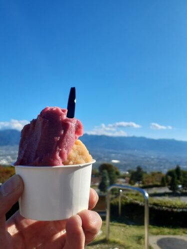 クライミングを楽しんで、ジェラート食べて、予防接種に付き合って、明け方まで読書をした1日。