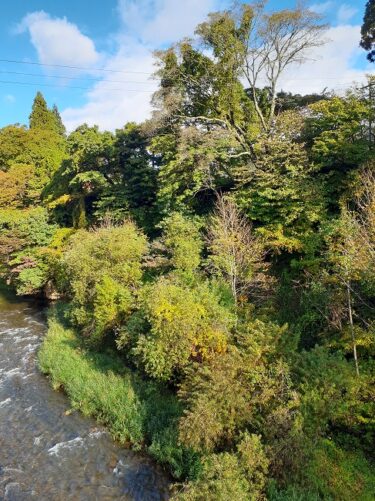 会議資料作成と会議にストーカーされた1日だった。イヤだイヤだ。