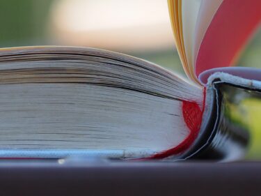 『堀部安兵衛』を読み終える。池波正太郎の世界、大好きだ。