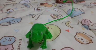 出張からの振休。風邪なのかもしれない。ゲコゲコガエルで遊ぶ君。